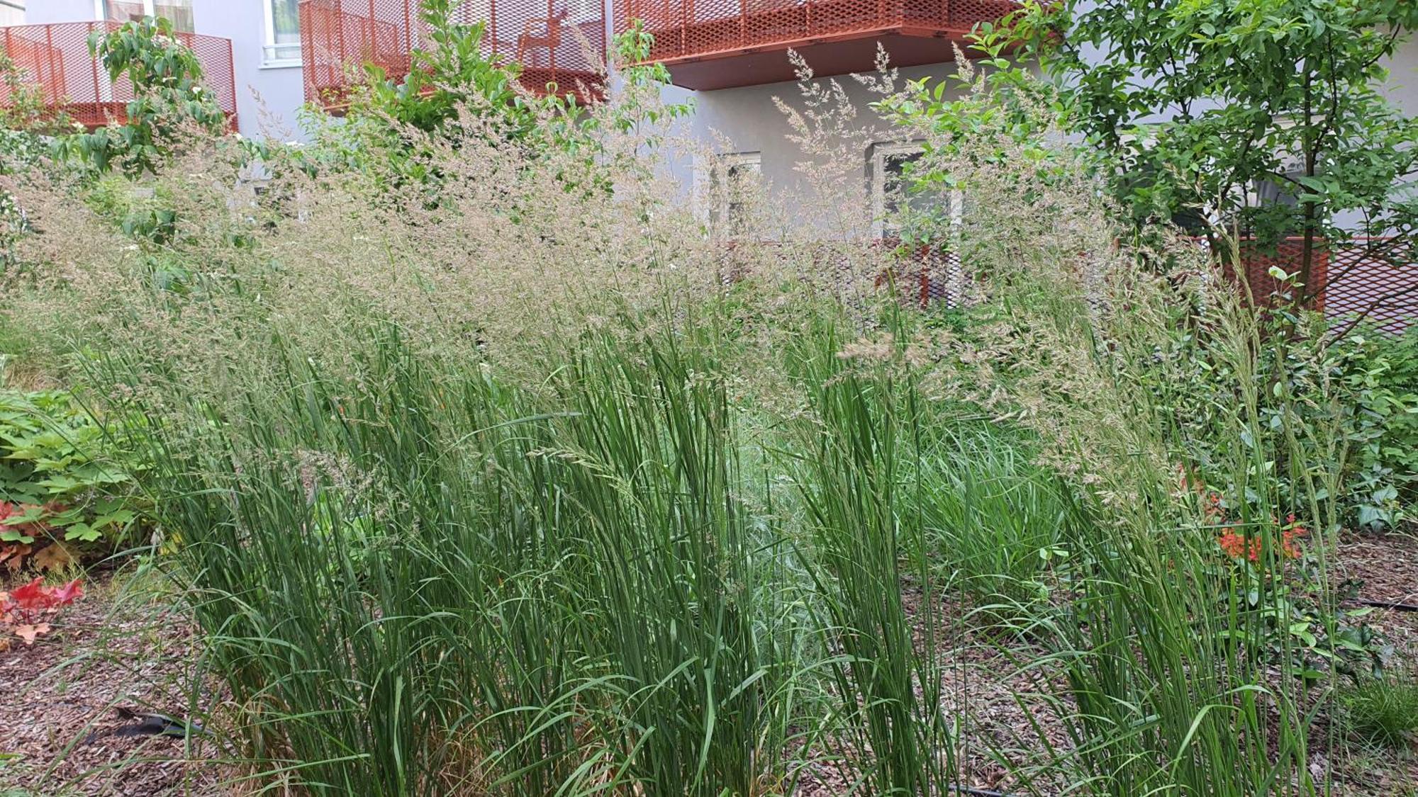 Good Time Apartments Dabrowskiego 58 波兹南 外观 照片